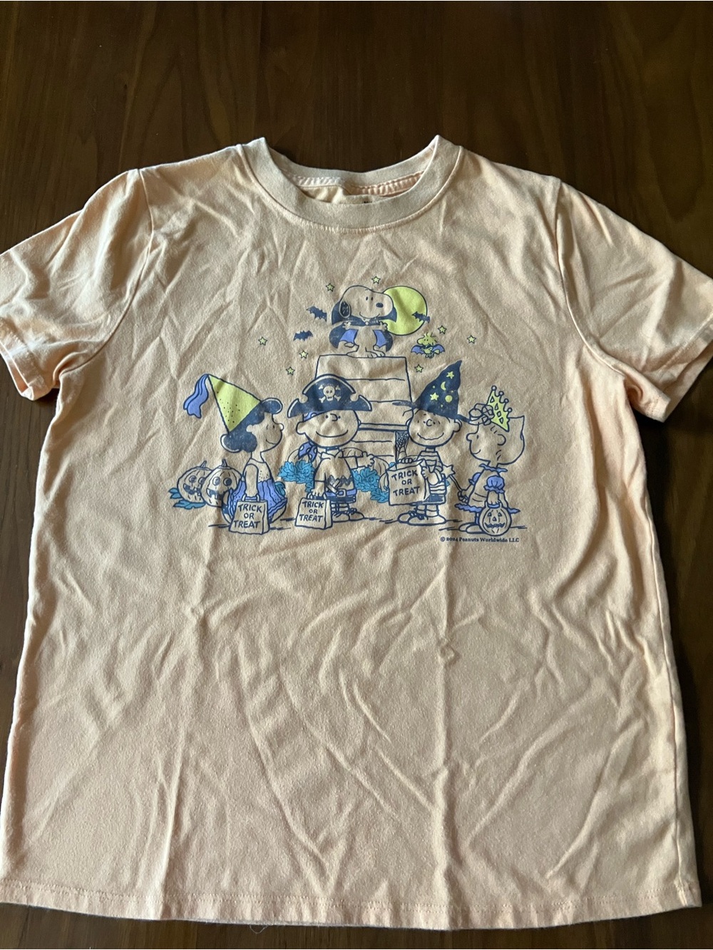 abercrombie kids Peach Peanuts Halloween Tee with Blue Accents